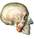 aa61